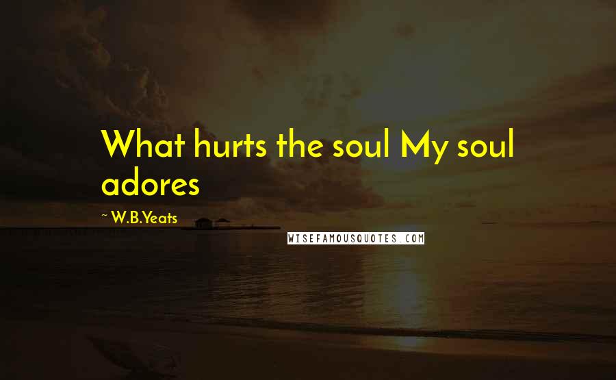 W.B.Yeats quotes: What hurts the soul My soul adores