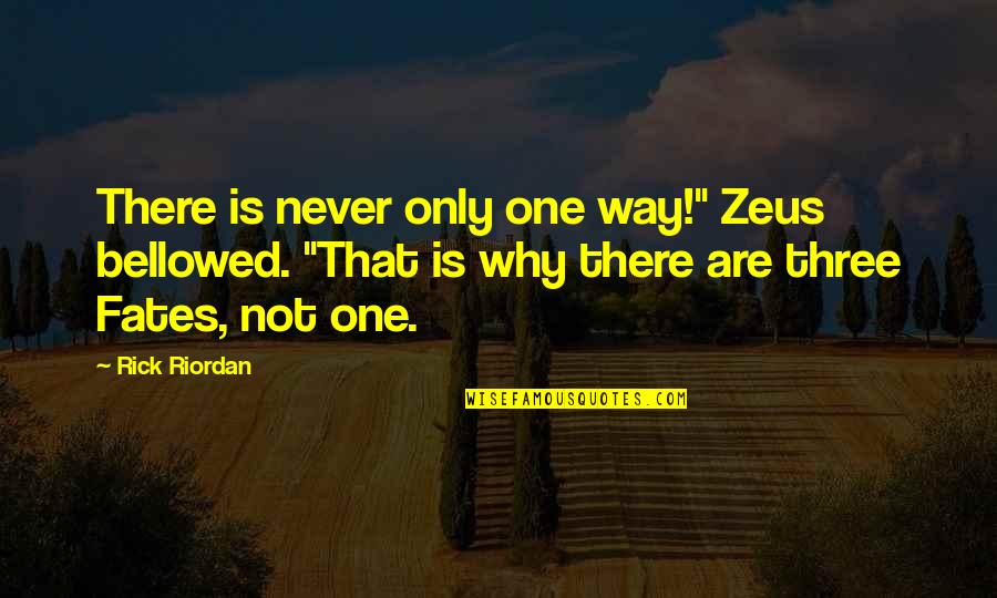 W D Fard Quotes By Rick Riordan: There is never only one way!" Zeus bellowed.
