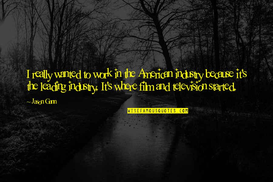 W D Gann Quotes By Jason Gann: I really wanted to work in the American