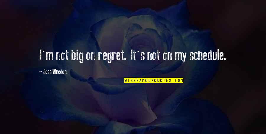 W.e. 2011 Quotes By Joss Whedon: I'm not big on regret. It's not on