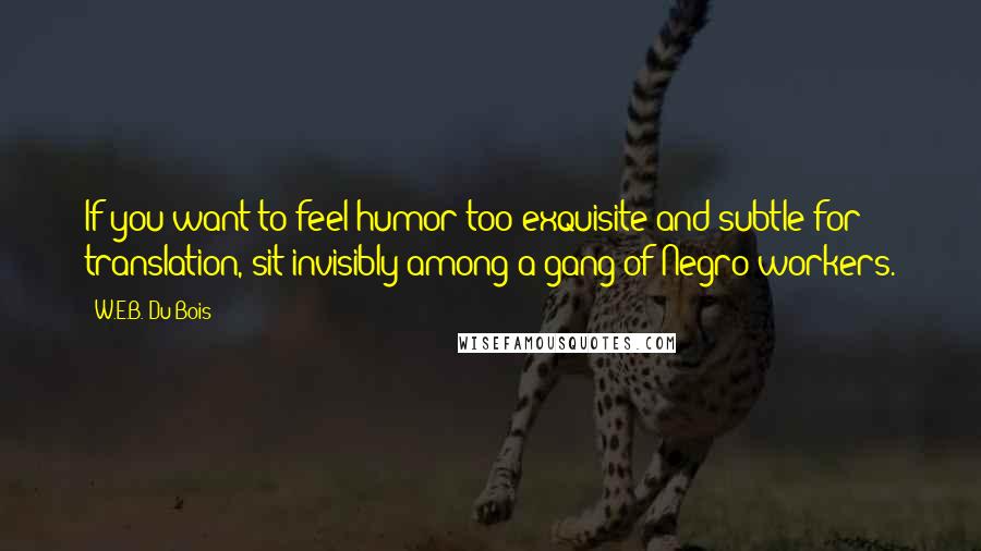 W.E.B. Du Bois quotes: If you want to feel humor too exquisite and subtle for translation, sit invisibly among a gang of Negro workers.