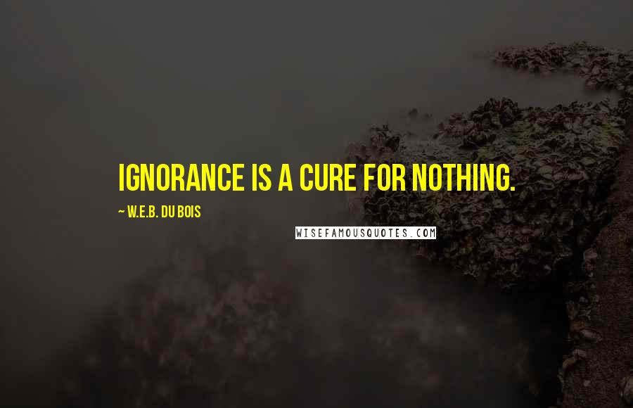 W.E.B. Du Bois quotes: Ignorance is a cure for nothing. W.E.B. Du Bois quotes: Ignorance is a cure for nothing.