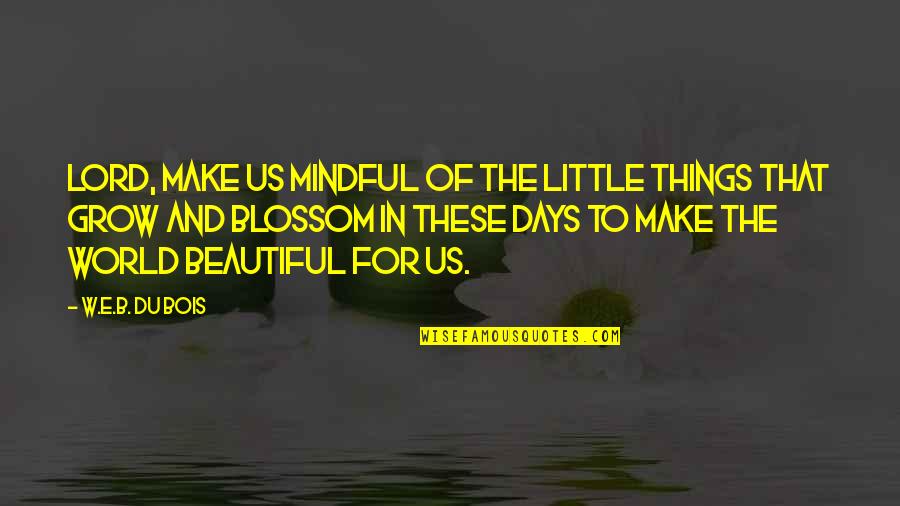 W.e.b Quotes By W.E.B. Du Bois: Lord, make us mindful of the little things