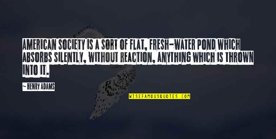 W G R Furniture Sheboygan Quotes By Henry Adams: American society is a sort of flat, fresh-water