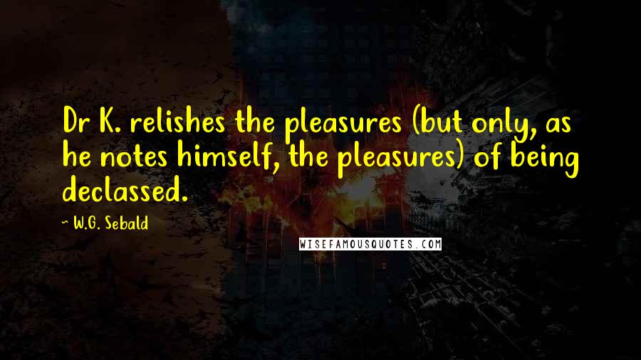W.G. Sebald quotes: Dr K. relishes the pleasures (but only, as he notes himself, the pleasures) of being declassed.