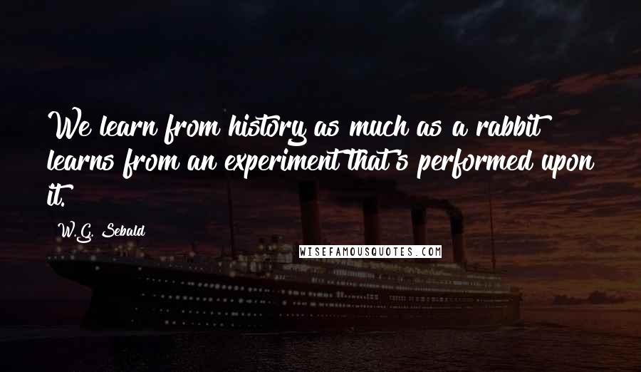 W.G. Sebald quotes: We learn from history as much as a rabbit learns from an experiment that's performed upon it.