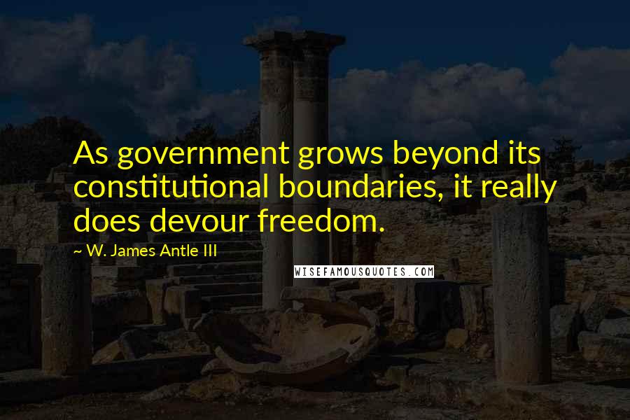 W. James Antle III quotes: As government grows beyond its constitutional boundaries, it really does devour freedom.