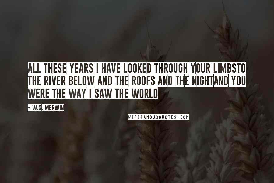 W.S. Merwin quotes: All these years I have looked through your limbsto the river below and the roofs and the nightand you were the way I saw the world