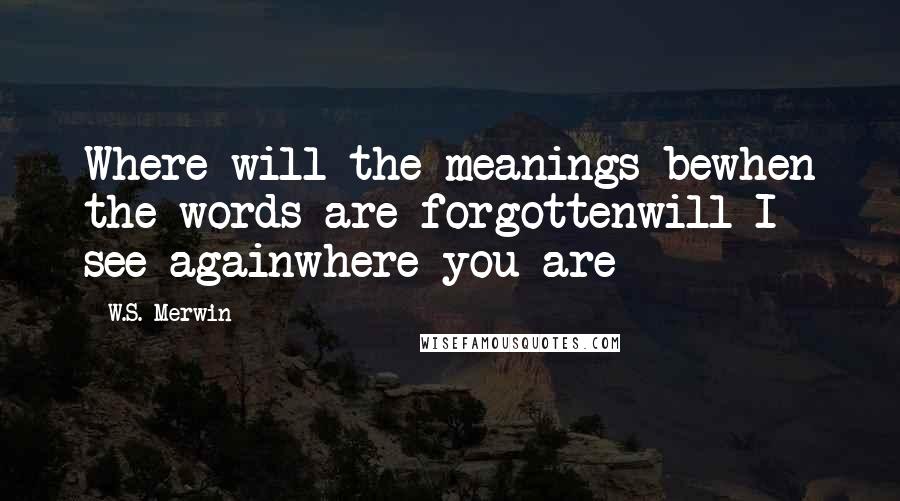 W.S. Merwin quotes: Where will the meanings bewhen the words are forgottenwill I see againwhere you are