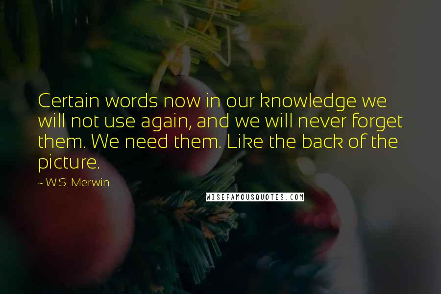 W.S. Merwin quotes: Certain words now in our knowledge we will not use again, and we will never forget them. We need them. Like the back of the picture.