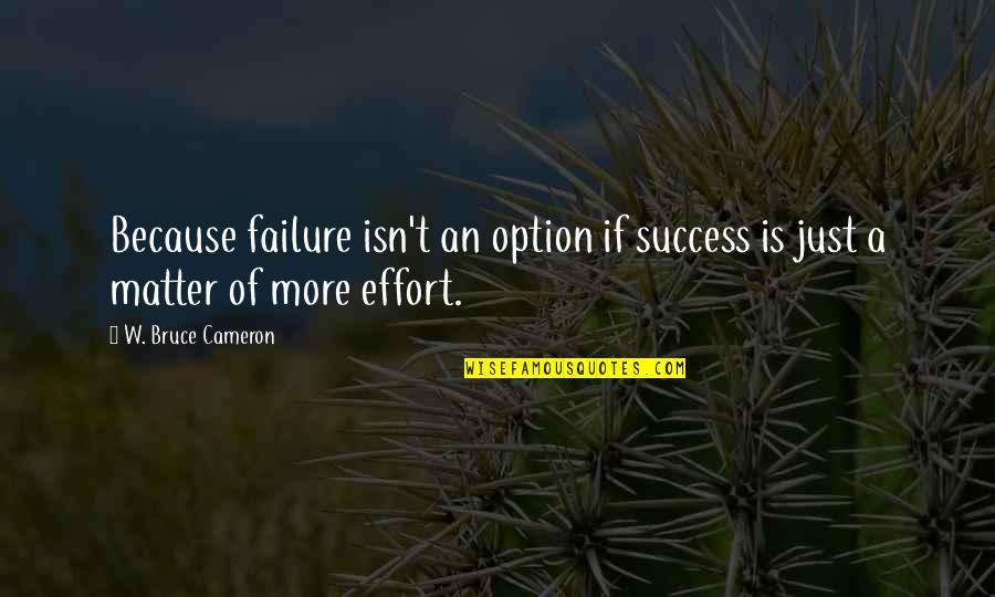 W T Quotes By W. Bruce Cameron: Because failure isn't an option if success is