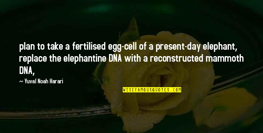 Waaam Quotes By Yuval Noah Harari: plan to take a fertilised egg-cell of a