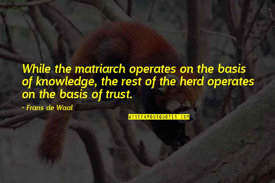 Waal Quotes By Frans De Waal: While the matriarch operates on the basis of Waal Quotes By Frans De Waal: While the matriarch operates on the basis of