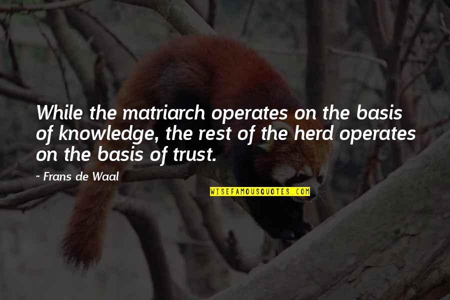 Waal's Quotes By Frans De Waal: While the matriarch operates on the basis of