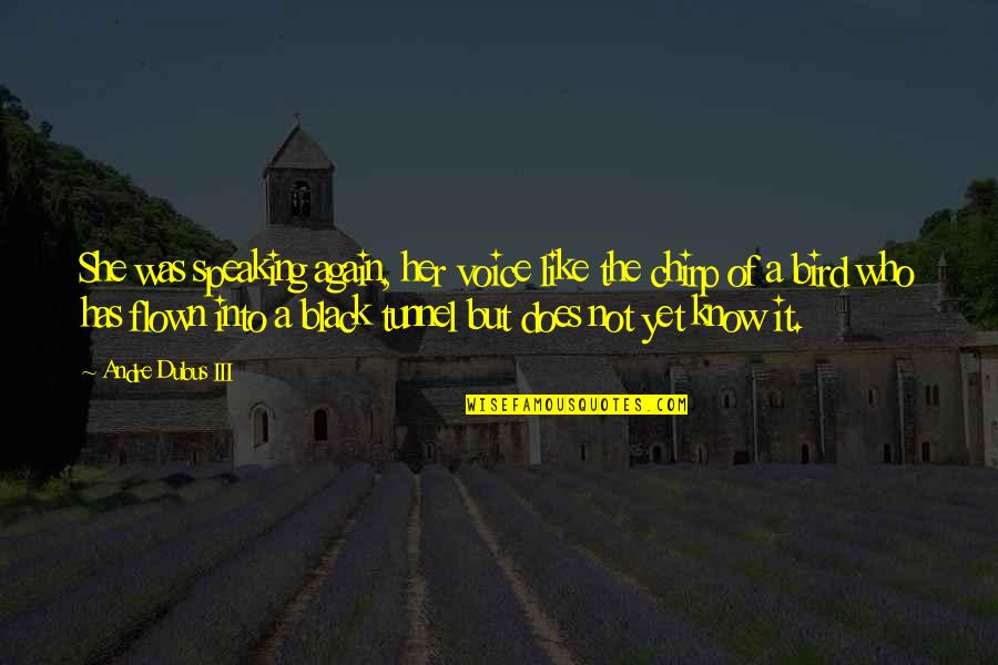 Wabbit Quote Quotes By Andre Dubus III: She was speaking again, her voice like the Wabbit Quote Quotes By Andre Dubus III: She was speaking again, her voice like the