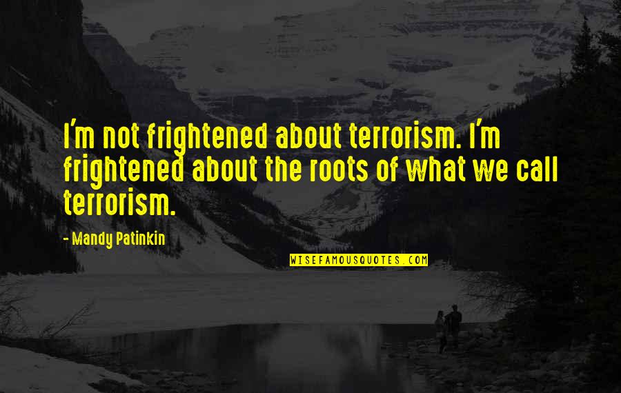 Wachsmuth Rhonda Quotes By Mandy Patinkin: I'm not frightened about terrorism. I'm frightened about
