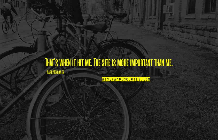 Wachtebeke Quotes By Harry Knowles: That's when it hit me. The site is Wachtebeke Quotes By Harry Knowles: That's when it hit me. The site is