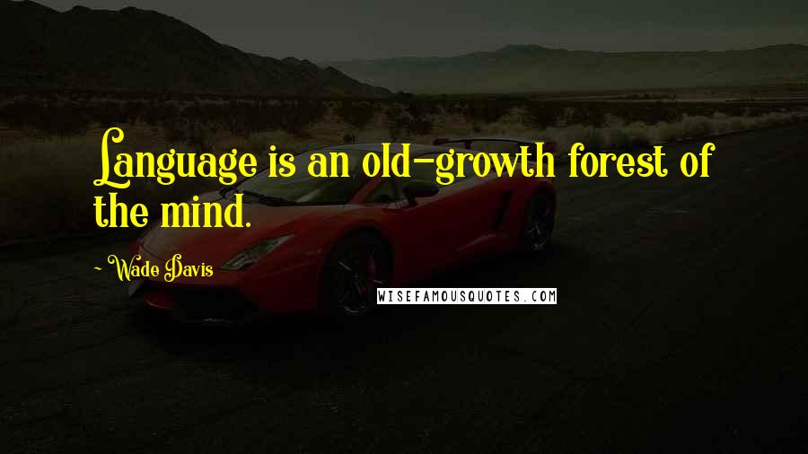 Wade Davis quotes: Language is an old-growth forest of the mind.