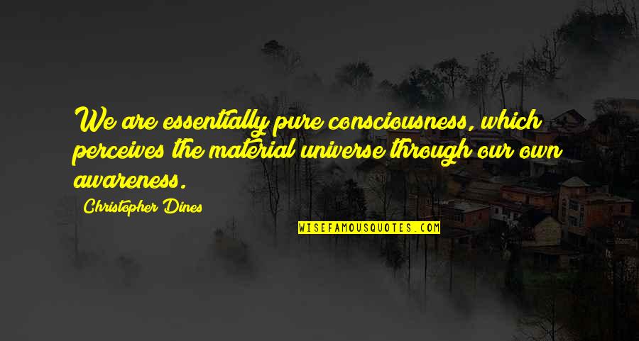 Waerg Quotes By Christopher Dines: We are essentially pure consciousness, which perceives the Waerg Quotes By Christopher Dines: We are essentially pure consciousness, which perceives the