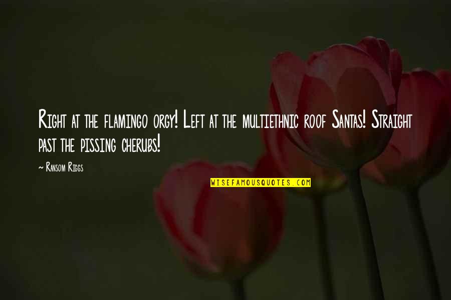 Wafic Said Quotes By Ransom Riggs: Right at the flamingo orgy! Left at the Wafic Said Quotes By Ransom Riggs: Right at the flamingo orgy! Left at the