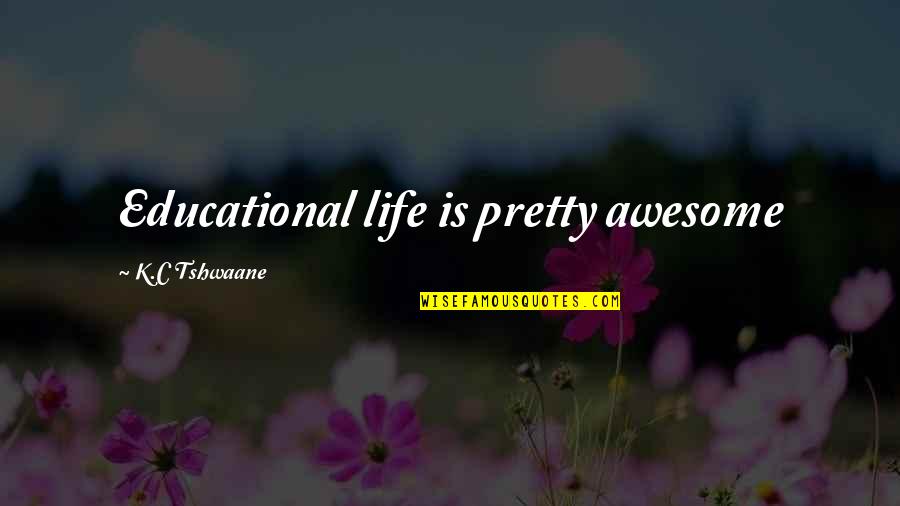 Wagenschot Quotes By K.C Tshwaane: Educational life is pretty awesome