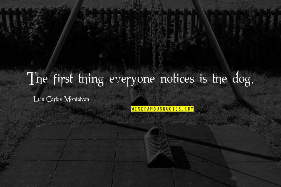 Waggoners Candy Quotes By Luis Carlos Montalvan: The first thing everyone notices is the dog. Waggoners Candy Quotes By Luis Carlos Montalvan: The first thing everyone notices is the dog.