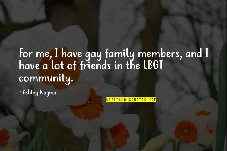 Wagner Quotes By Ashley Wagner: For me, I have gay family members, and