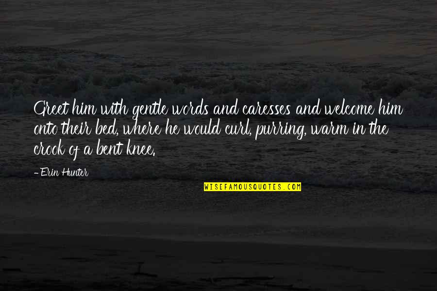 Waheedullah Waheed Quotes By Erin Hunter: Greet him with gentle words and caresses and Waheedullah Waheed Quotes By Erin Hunter: Greet him with gentle words and caresses and