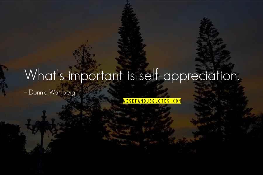Wahlberg's Quotes By Donnie Wahlberg: What's important is self-appreciation.