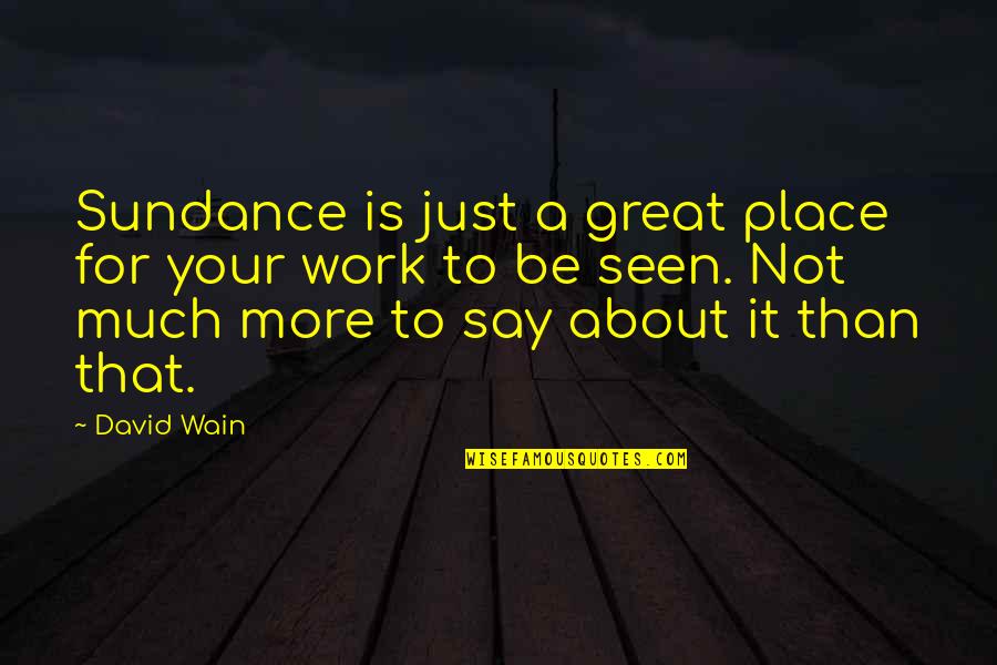 Wain Quotes By David Wain: Sundance is just a great place for your