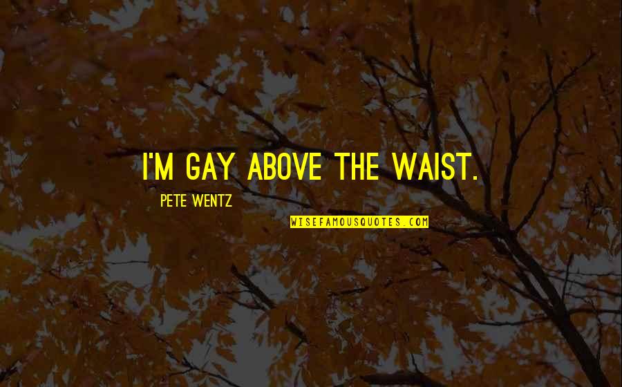 Waist Quotes By Pete Wentz: I'm gay above the waist.