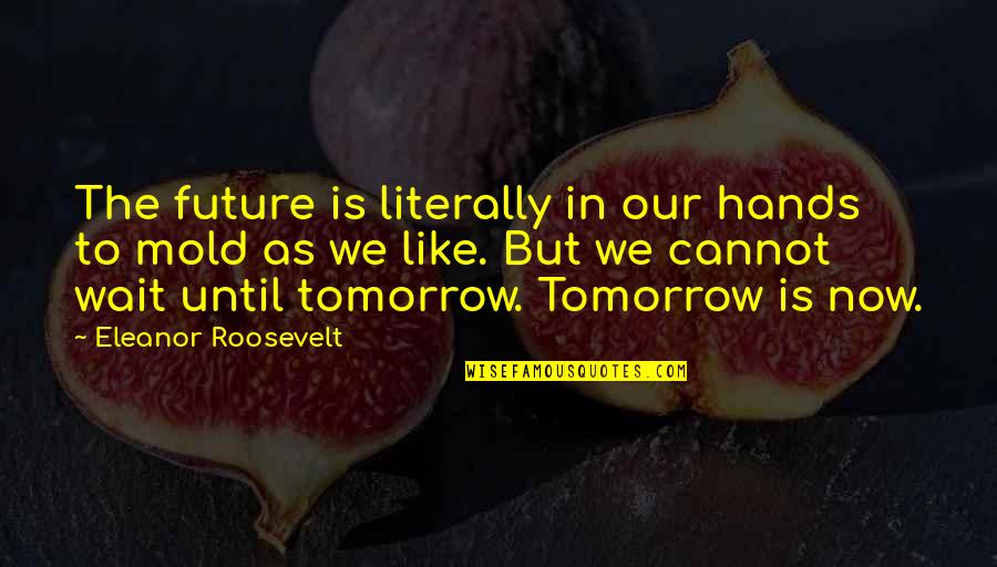 Wait For The Future Quotes By Eleanor Roosevelt: The future is literally in our hands to Wait For The Future Quotes By Eleanor Roosevelt: The future is literally in our hands to