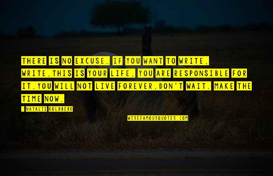 Wait For You Forever Quotes By Natalie Goldberg: There is no excuse. If you want to Wait For You Forever Quotes By Natalie Goldberg: There is no excuse. If you want to