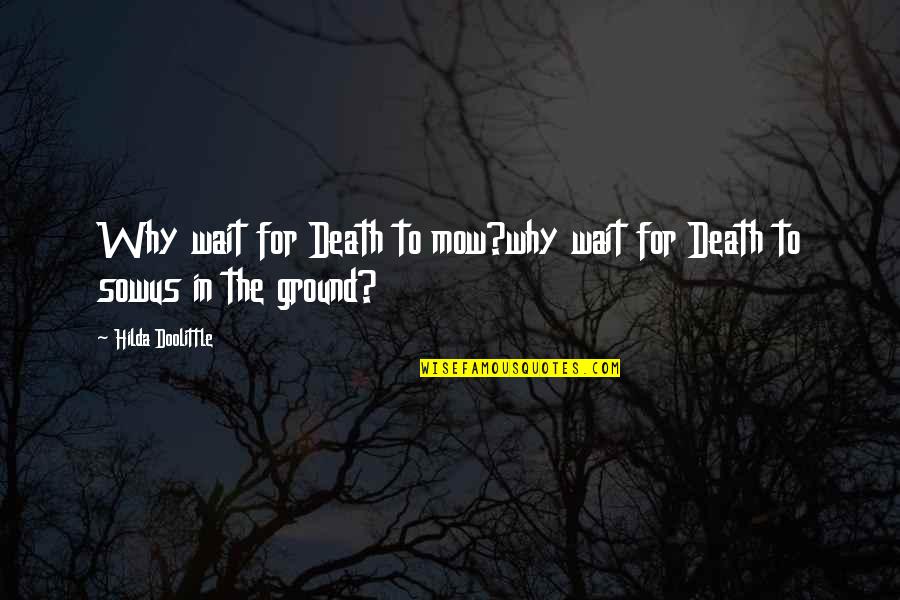 Wait Till Death Quotes By Hilda Doolittle: Why wait for Death to mow?why wait for