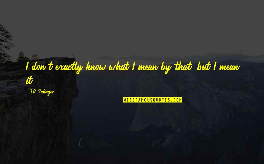 Waiting For A Good Relationship Quotes By J.D. Salinger: I don't exactly know what I mean by