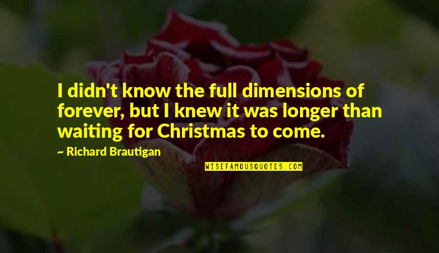 Waiting For Christmas Quotes By Richard Brautigan: I didn't know the full dimensions of forever, Waiting For Christmas Quotes By Richard Brautigan: I didn't know the full dimensions of forever,
