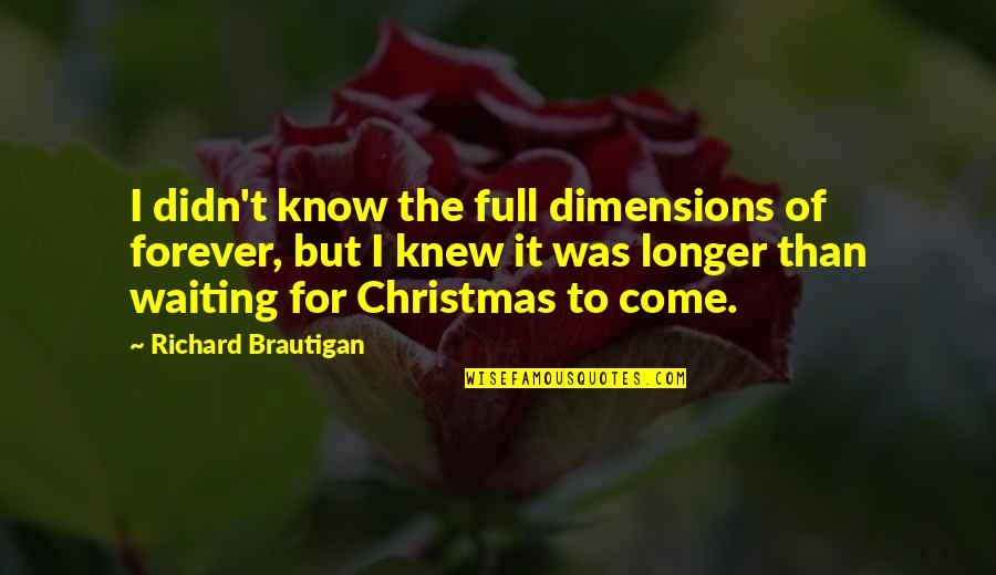Waiting For Forever Best Quotes By Richard Brautigan: I didn't know the full dimensions of forever,