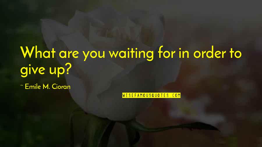 Waiting For Order Quotes By Emile M. Cioran: What are you waiting for in order to