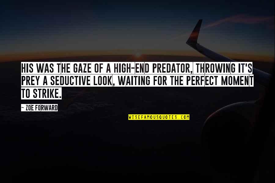 Waiting For The Perfect Moment Quotes By Zoe Forward: His was the gaze of a high-end predator,
