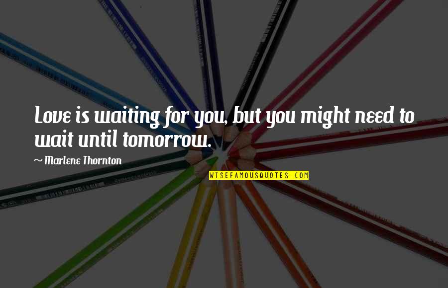 Waiting For Tomorrow Quotes By Marlene Thornton: Love is waiting for you, but you might