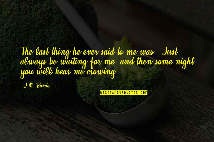Waiting For You Always Quotes By J.M. Barrie: The last thing he ever said to me