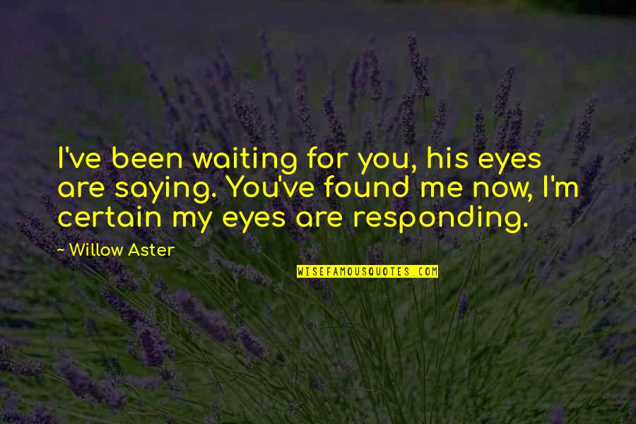 Waiting For You Quotes By Willow Aster: I've been waiting for you, his eyes are