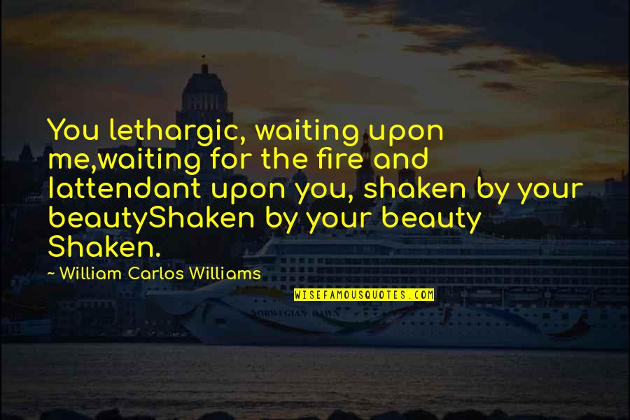 Waiting For You To Love Me Quotes By William Carlos Williams: You lethargic, waiting upon me,waiting for the fire Waiting For You To Love Me Quotes By William Carlos Williams: You lethargic, waiting upon me,waiting for the fire