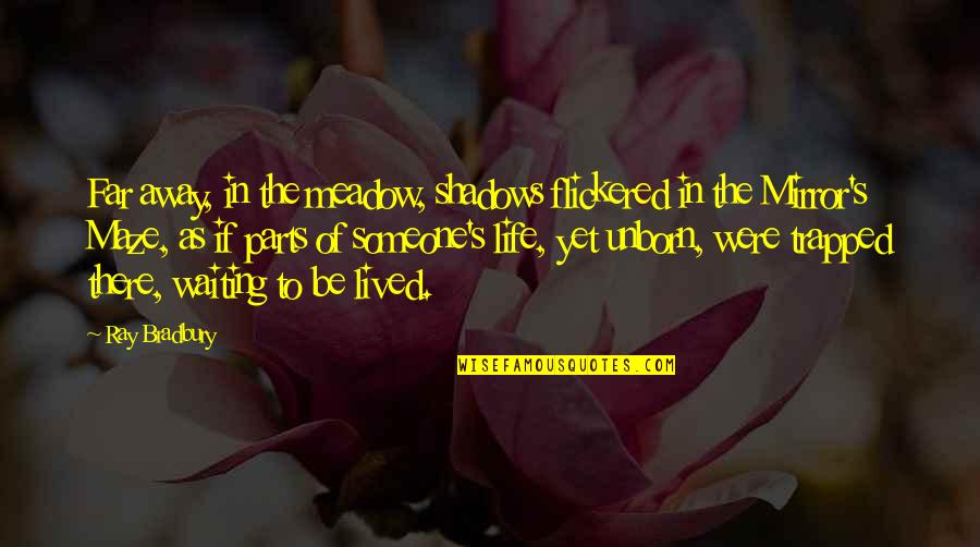 Waiting Life Quotes By Ray Bradbury: Far away, in the meadow, shadows flickered in Waiting Life Quotes By Ray Bradbury: Far away, in the meadow, shadows flickered in