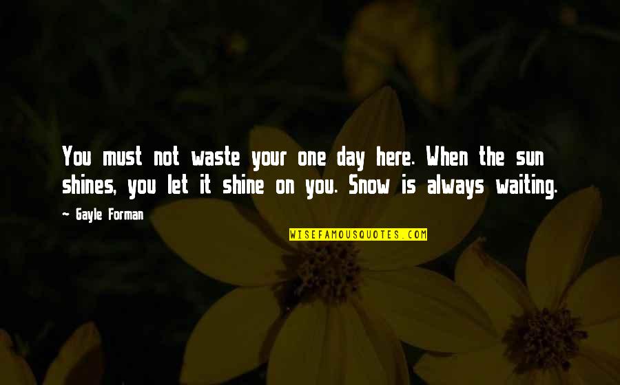 Waiting One More Day Quotes By Gayle Forman: You must not waste your one day here.