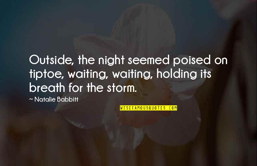 Waiting Out The Storm Quotes By Natalie Babbitt: Outside, the night seemed poised on tiptoe, waiting,