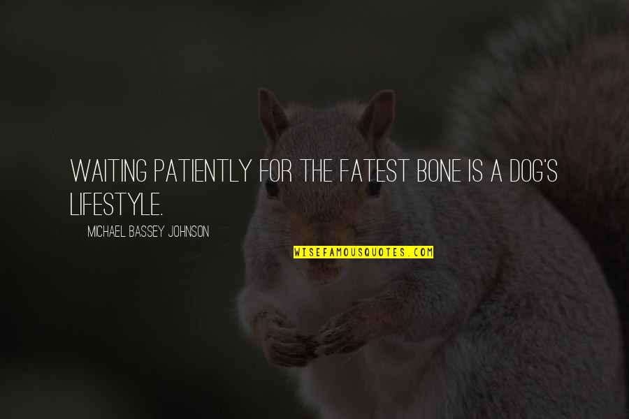 Waiting Patiently For You Quotes By Michael Bassey Johnson: Waiting patiently for the fatest bone is a Waiting Patiently For You Quotes By Michael Bassey Johnson: Waiting patiently for the fatest bone is a