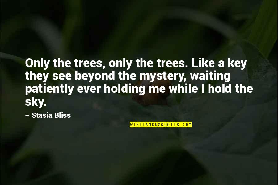 Waiting Patiently For You Quotes By Stasia Bliss: Only the trees, only the trees. Like a Waiting Patiently For You Quotes By Stasia Bliss: Only the trees, only the trees. Like a