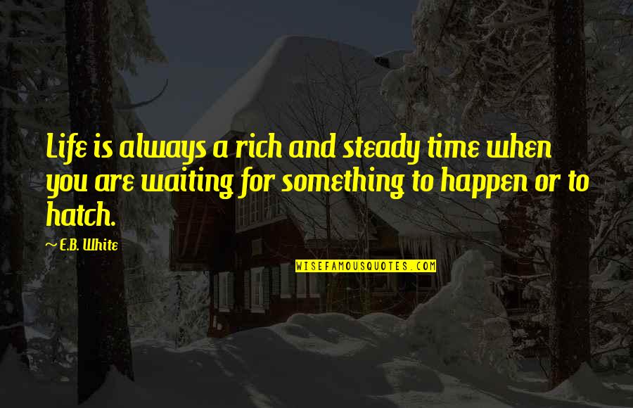 Waiting Something To Happen Quotes By E.B. White: Life is always a rich and steady time
