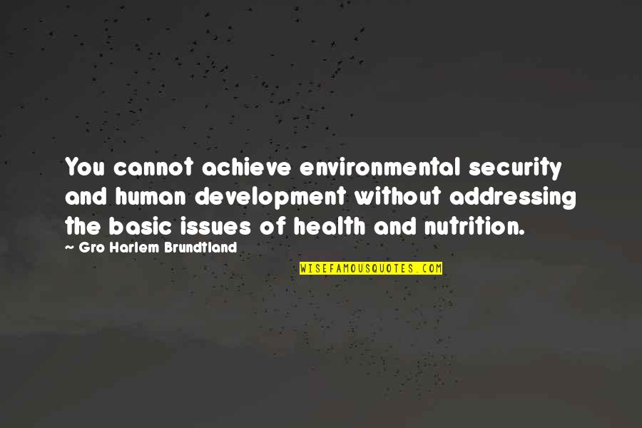 Waitress Quotes Quotes By Gro Harlem Brundtland: You cannot achieve environmental security and human development
